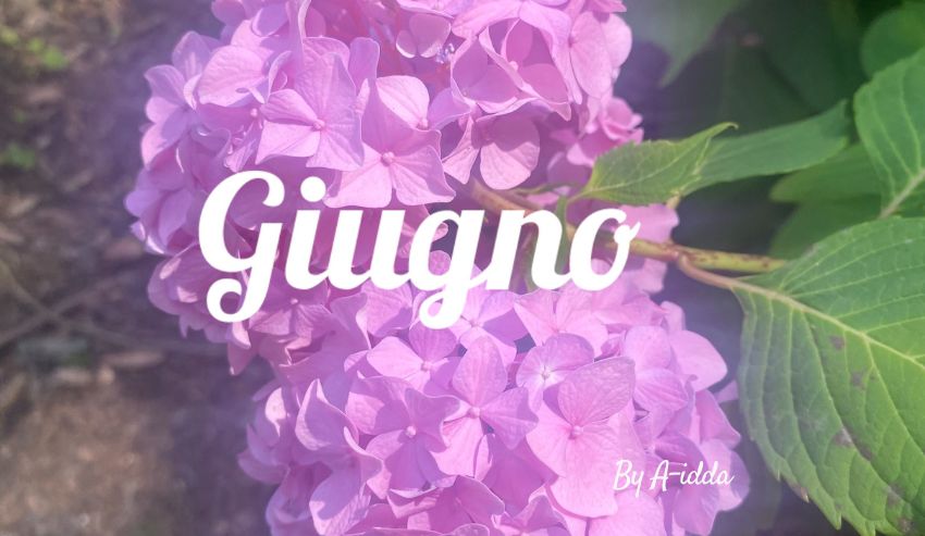 E così eccoci qui.